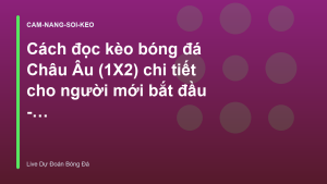 Read more about the article Cách đọc kèo bóng đá Châu Âu (1X2) chi tiết cho người mới bắt đầu – Live Dự Đoán Bóng Đá